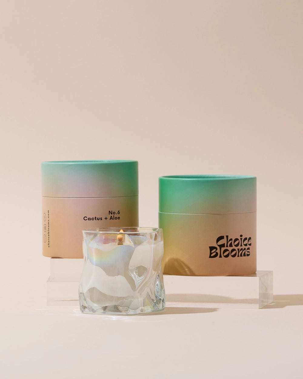 Choice Blooms Candle - No. 6 Cactus + Aloe Candle
