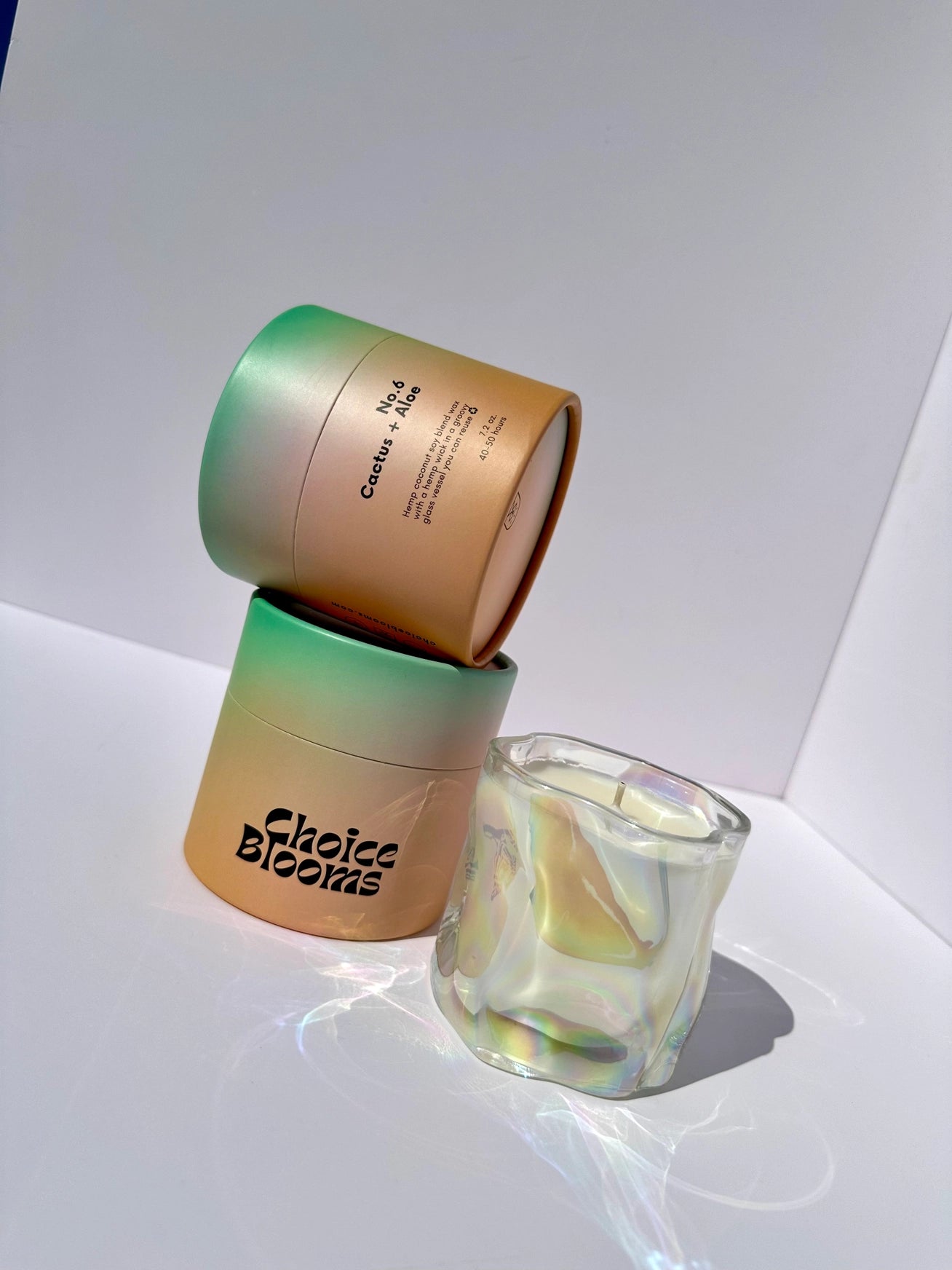 Choice Blooms Candle - No. 6 Cactus + Aloe Candle