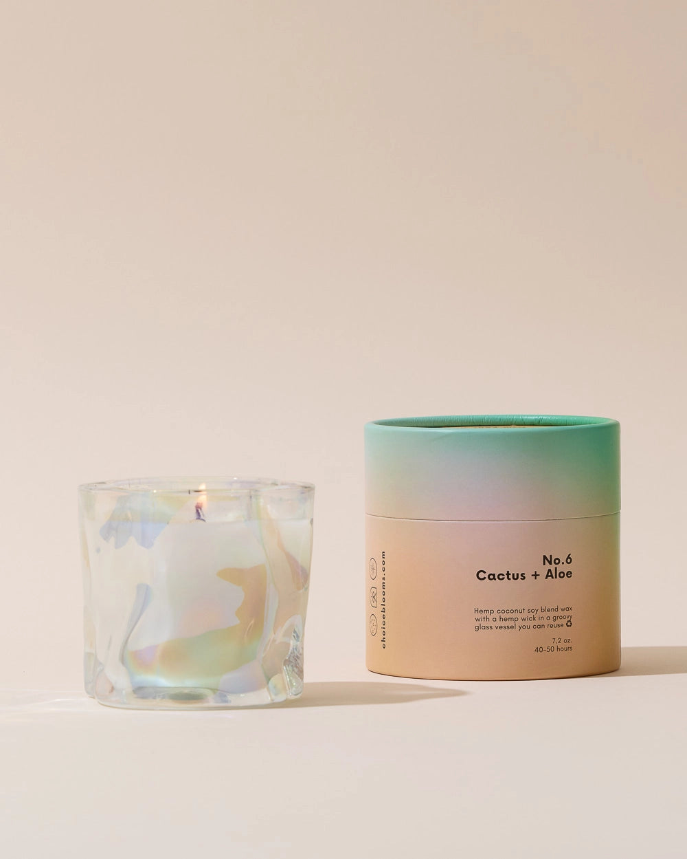 Choice Blooms Candle - No. 6 Cactus + Aloe Candle