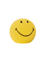 Smiley® Bundle of Light