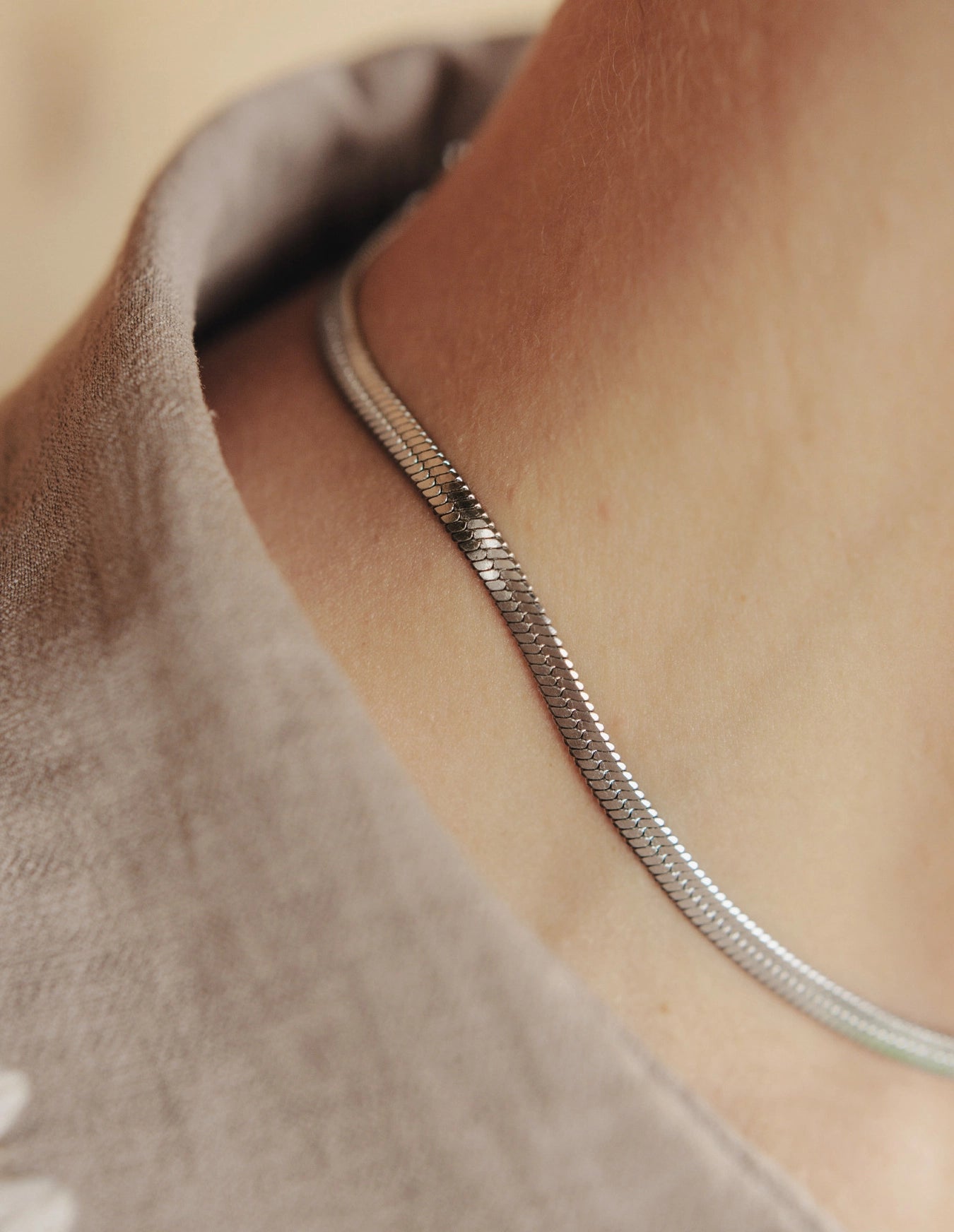 Snake Chain Choker Necklace, Waterproof - Silver