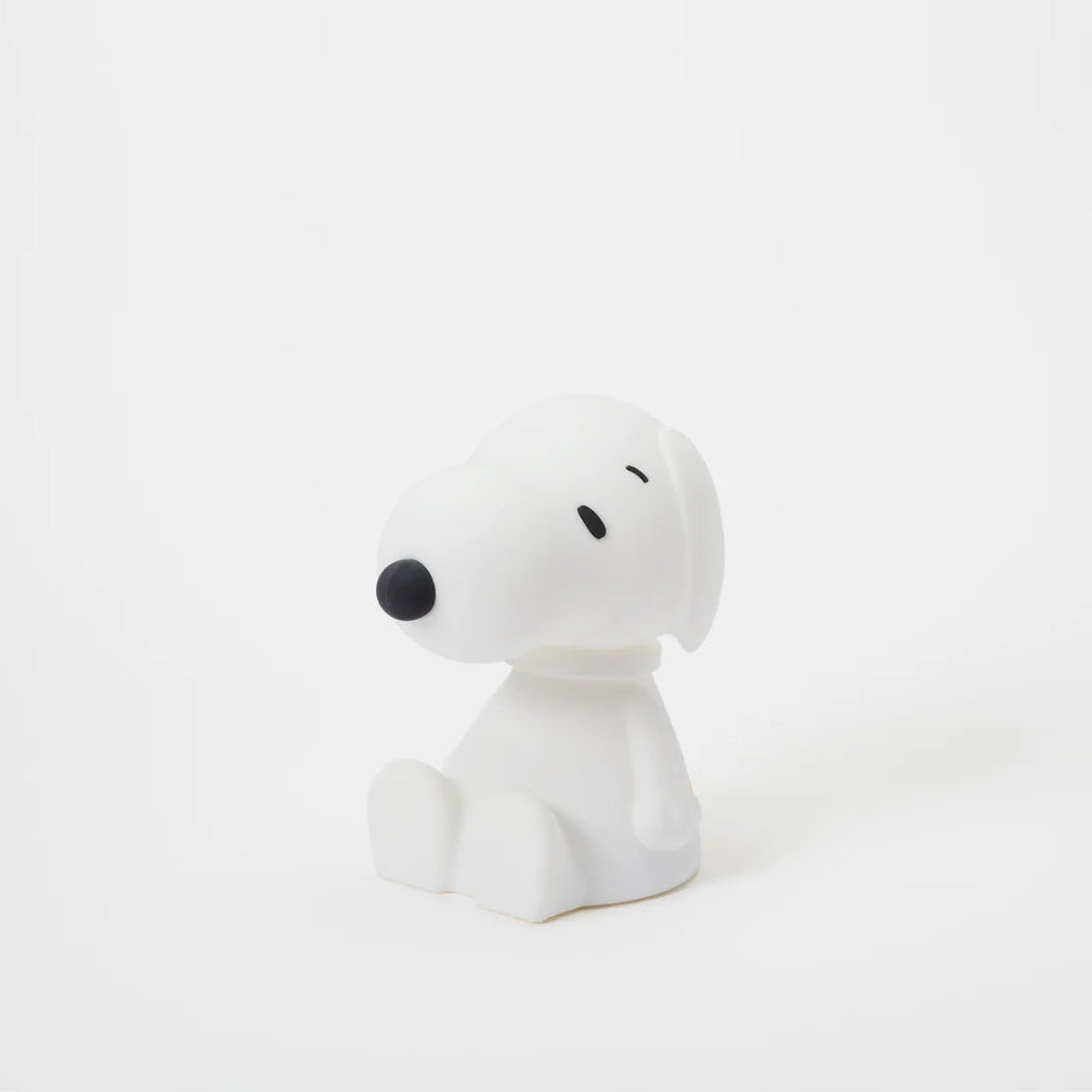 Snoopy Bundle of Light