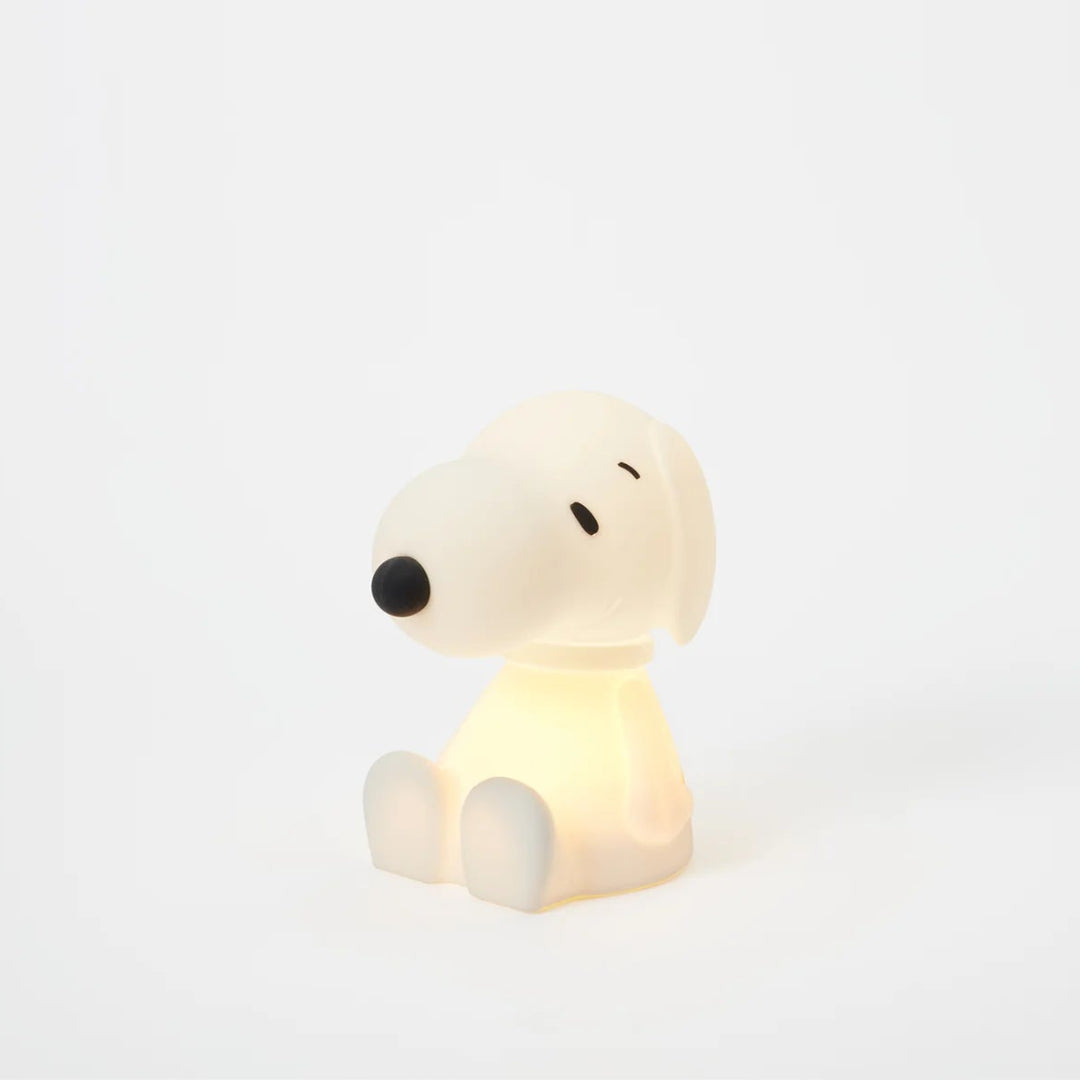 Snoopy Bundle of Light
