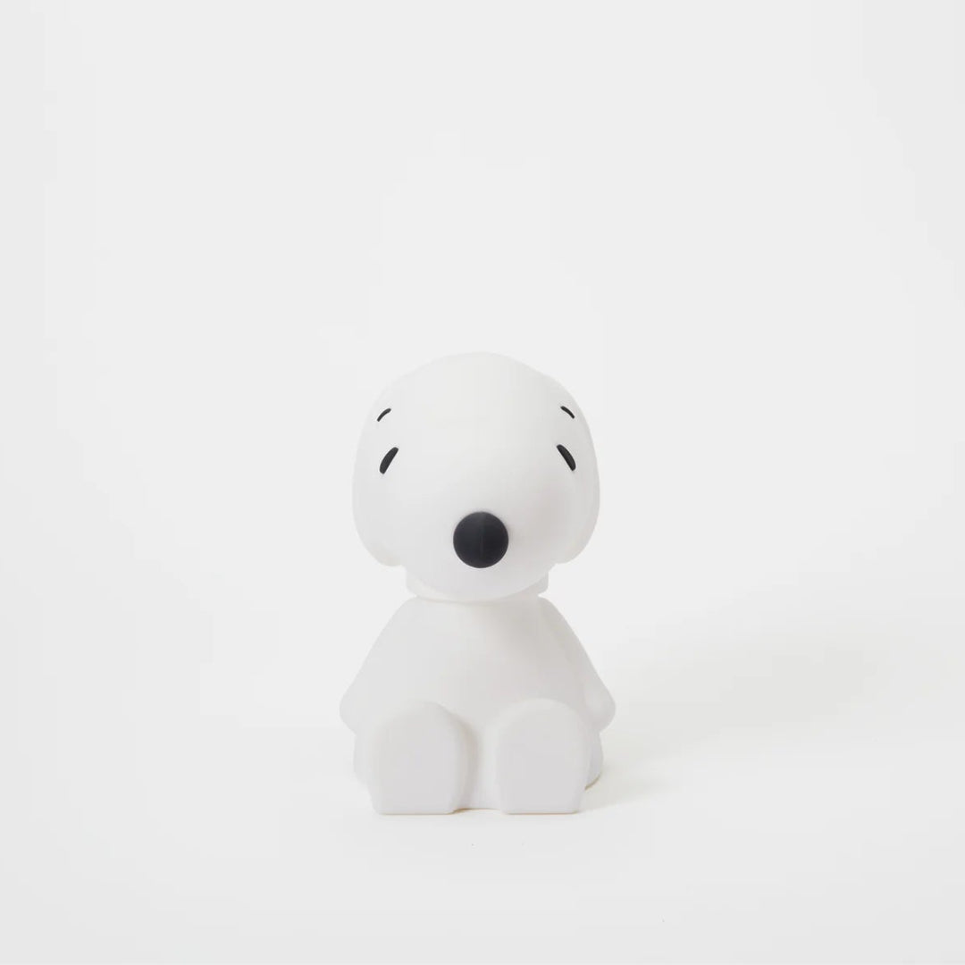 Snoopy Bundle of Light