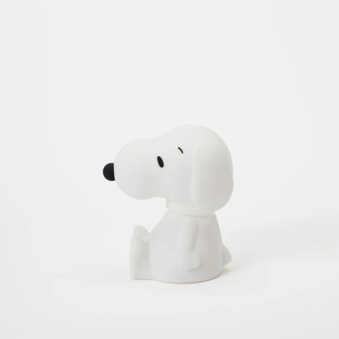 Snoopy Bundle of Light
