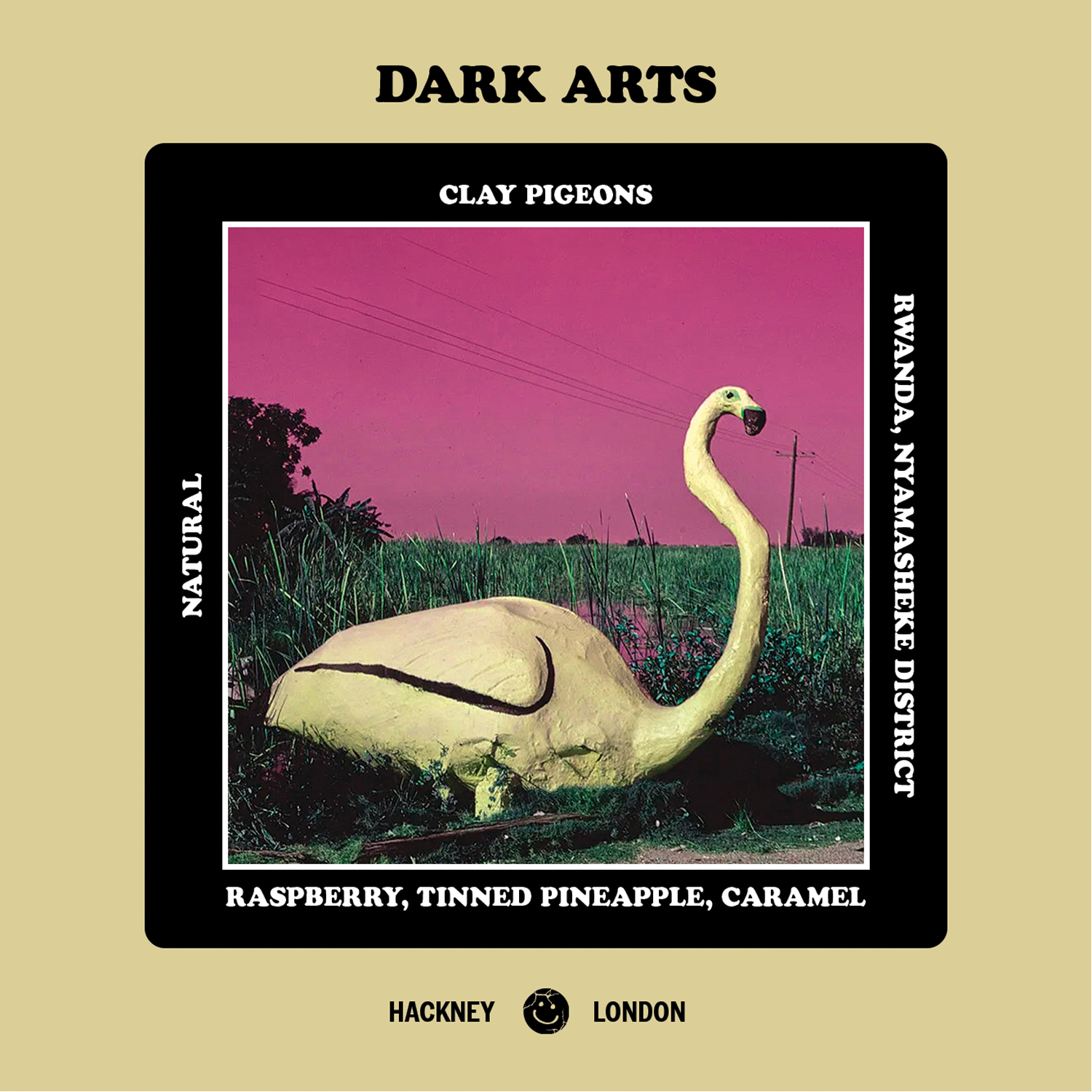 CLAY PIGEONS – Rwanda (250g)