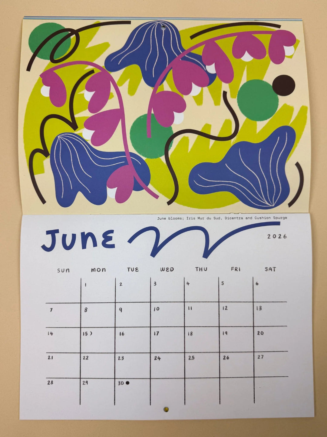 Seasonal Joy - 2026 Calendar