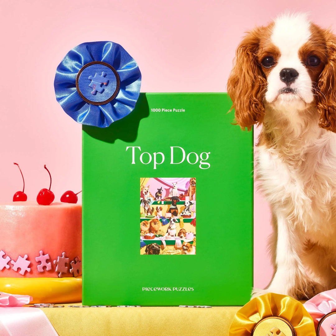 Green puzzle box titled 'Top Dog' with a cavalier king charles Spaniel and cake in the background