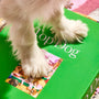 White dog paws on a green 'Top Dog' puzzle box on a colorful puzzle background