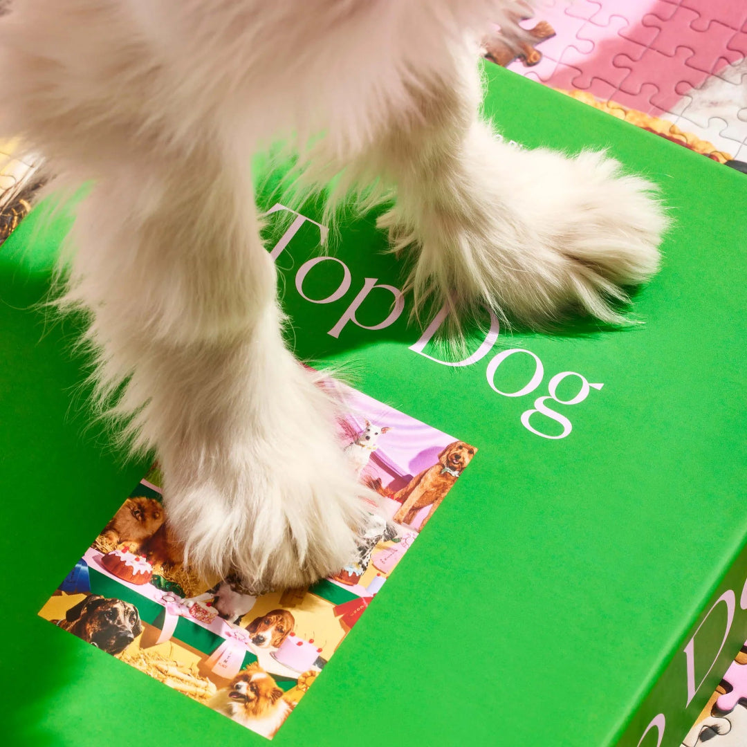White dog paws on a green 'Top Dog' puzzle box on a colorful puzzle background