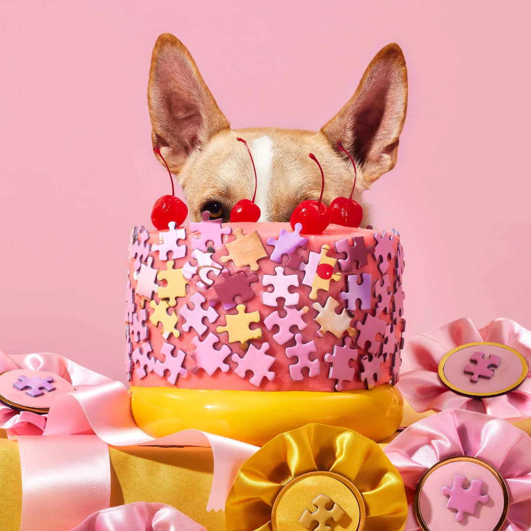 Dog peeking from behind a a pink cake with puzzle pieces and cherries on a pink background
