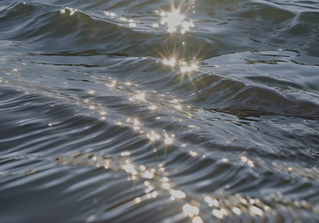 Gloop - Mini Propagation Vase – Sunny's