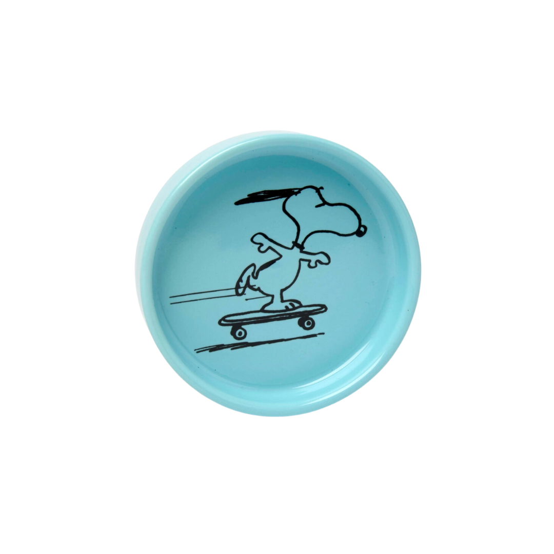 Peanuts Pin Dish - Skater