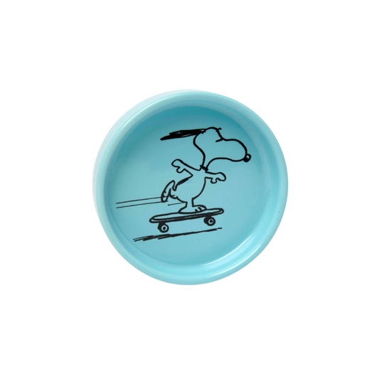 Peanuts Pin Dish - Skater