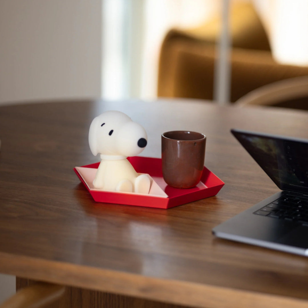 Snoopy Bundle of Light