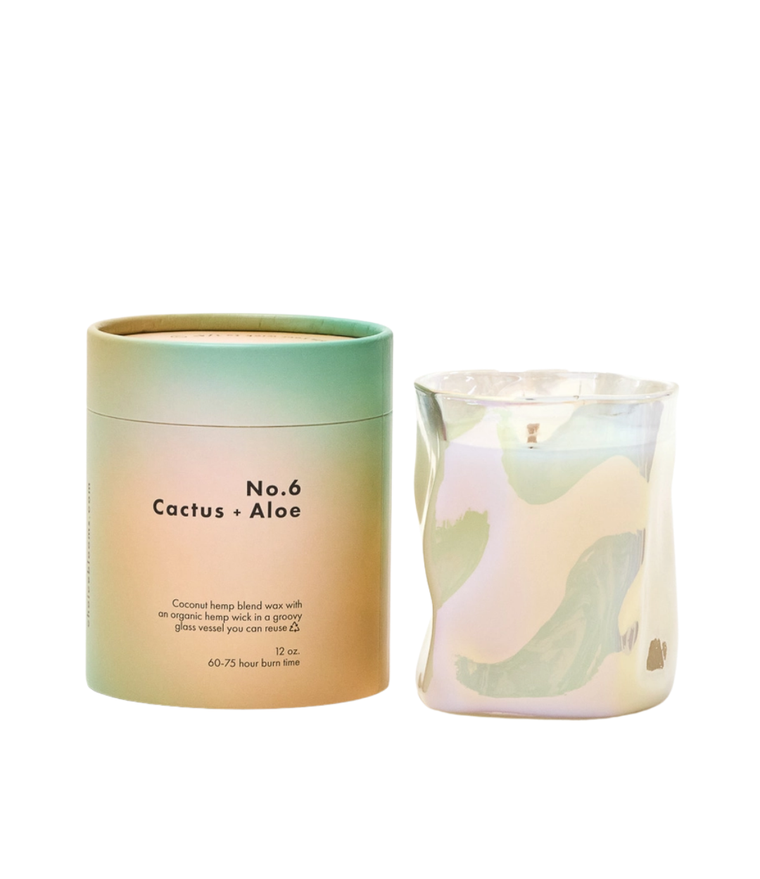 No. 6 Cactus + Aloe Candle, 12oz.