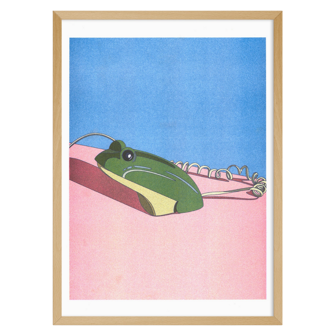 Crusader Frog Phone - Ana Popescu
