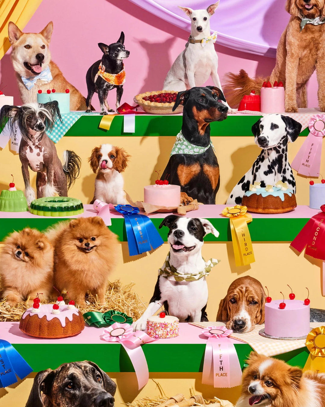 Illustration of various dogs at a competition with cakes and decorations.