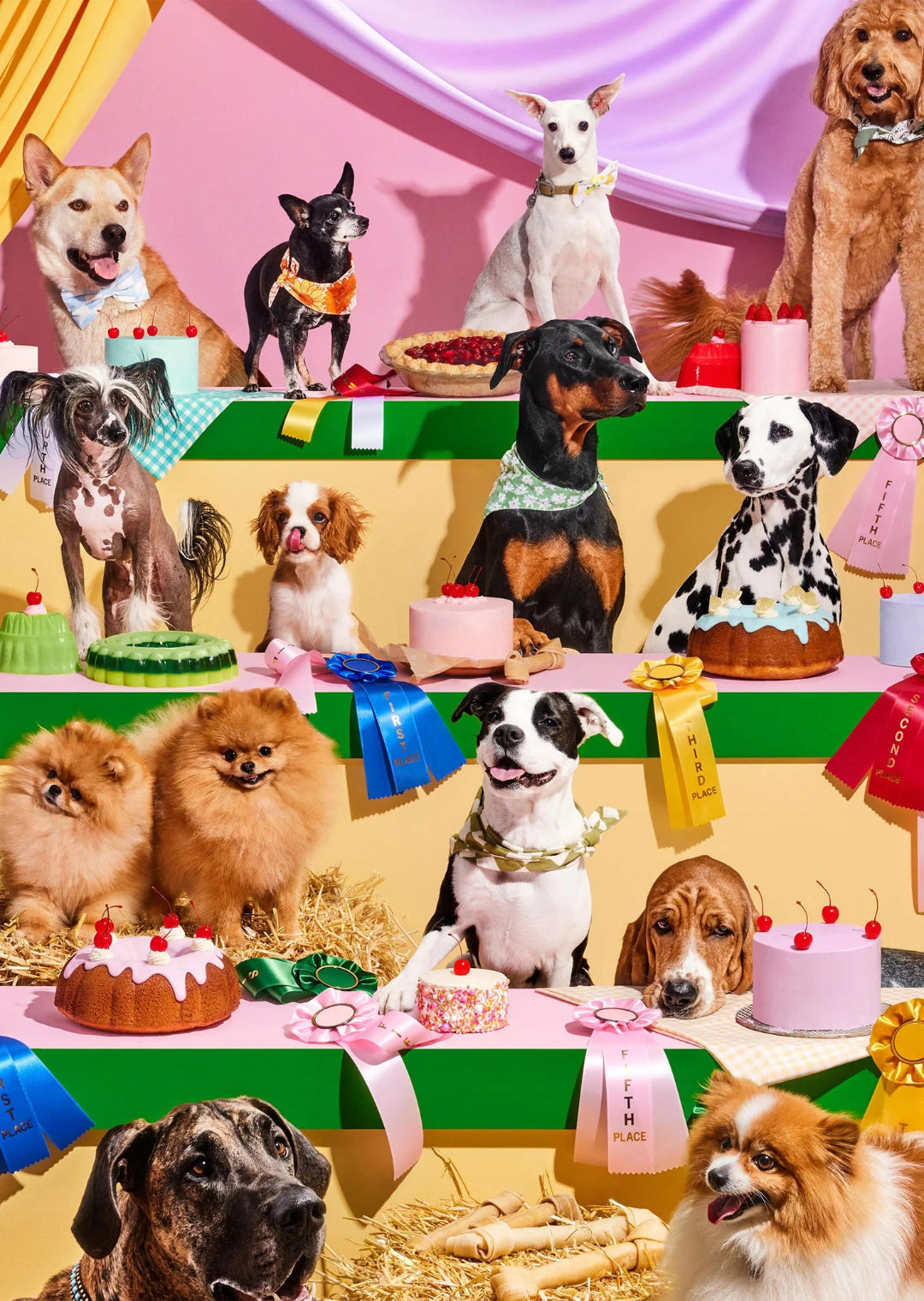 Illustration of various dogs at a competition with cakes and decorations.