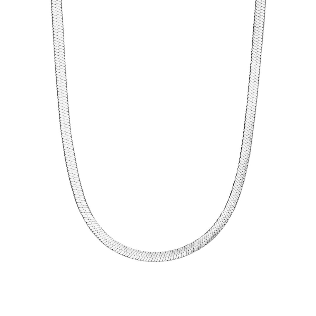 Snake Chain Choker Necklace, Waterproof - Silver
