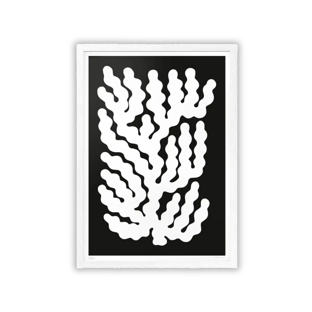 Coral #009 White