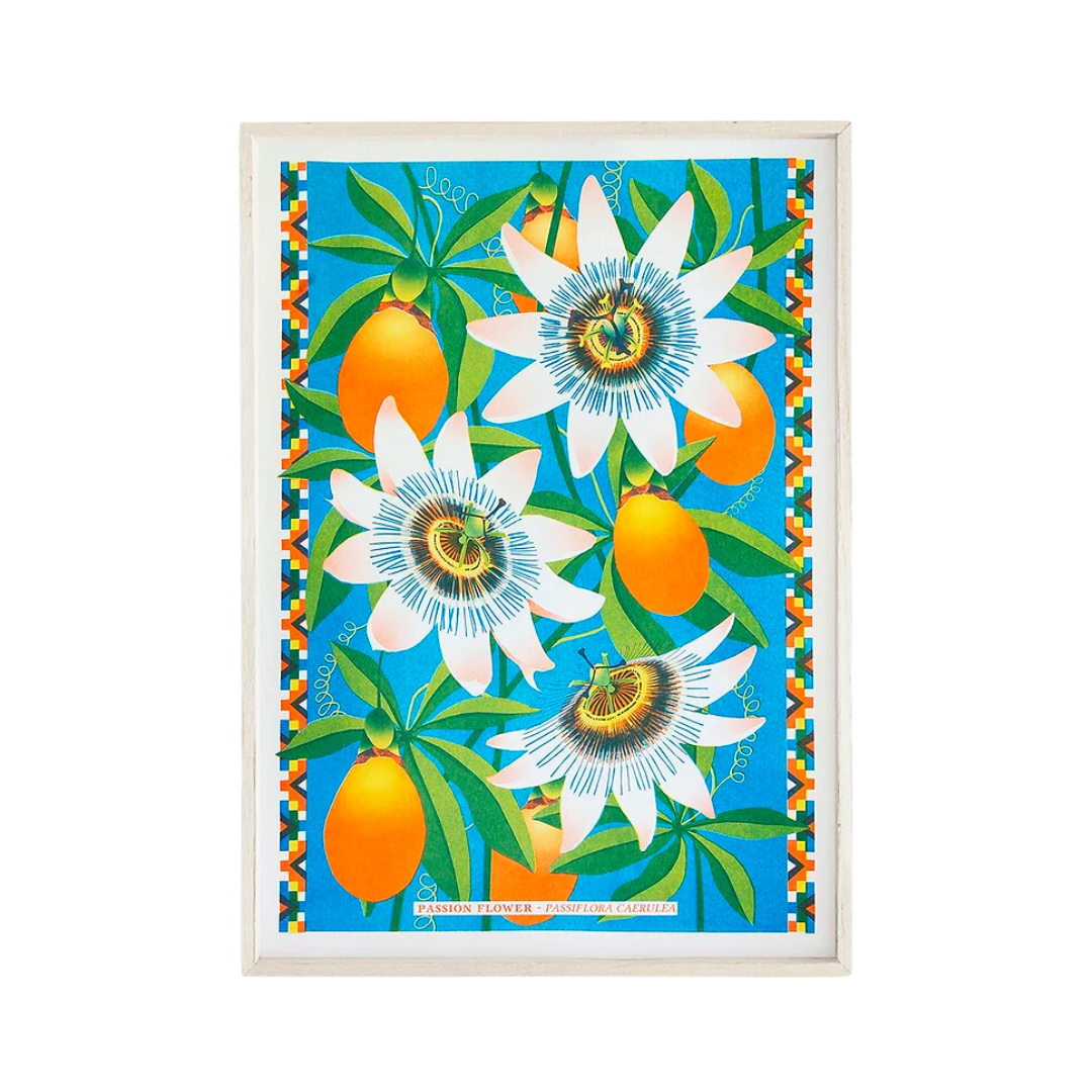 Passion Flower